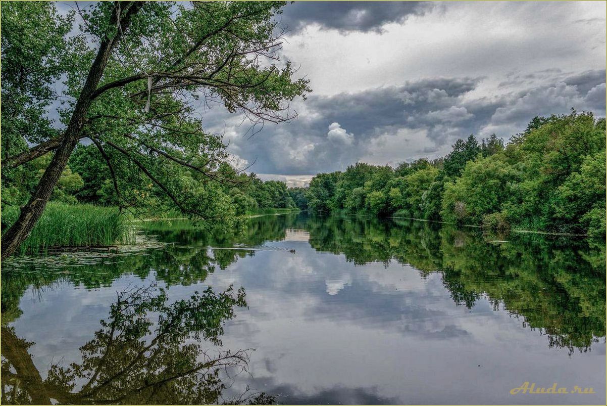 Отдых на реке Цна в Рязанской области — идеальное место для релаксации и активного времяпровождения