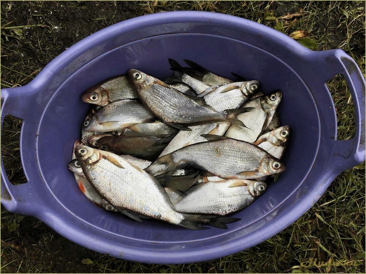 Отдых на реке Цна в Рязанской области — идеальное место для релаксации и активного времяпровождения