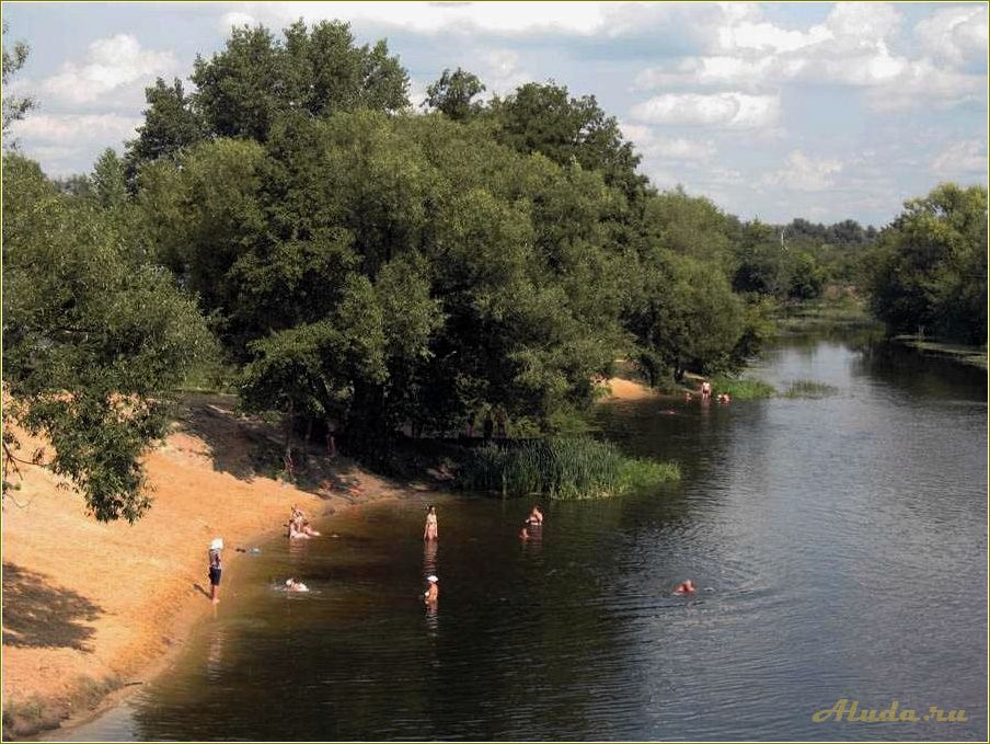 Отдых на реке Цна в Рязанской области — идеальное место для релаксации и активного времяпровождения