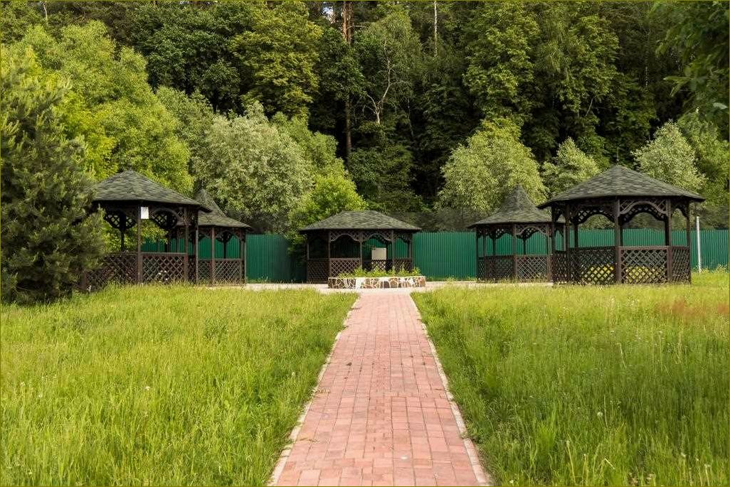 Отдых в Петрово, Дальней Московской области — наслаждайтесь природой и уникальными достопримечательностями