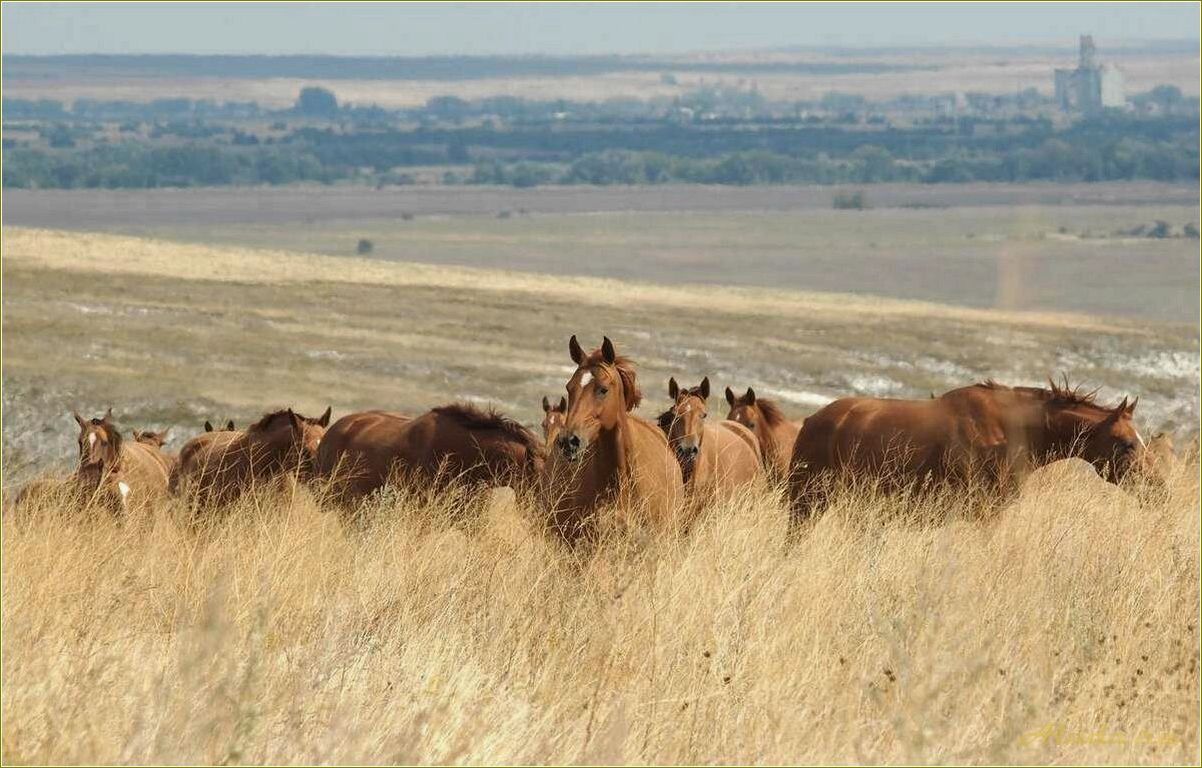 Отдых в Ростовской области в сентябре — лучшие места для отдыха, развлечения и релаксации