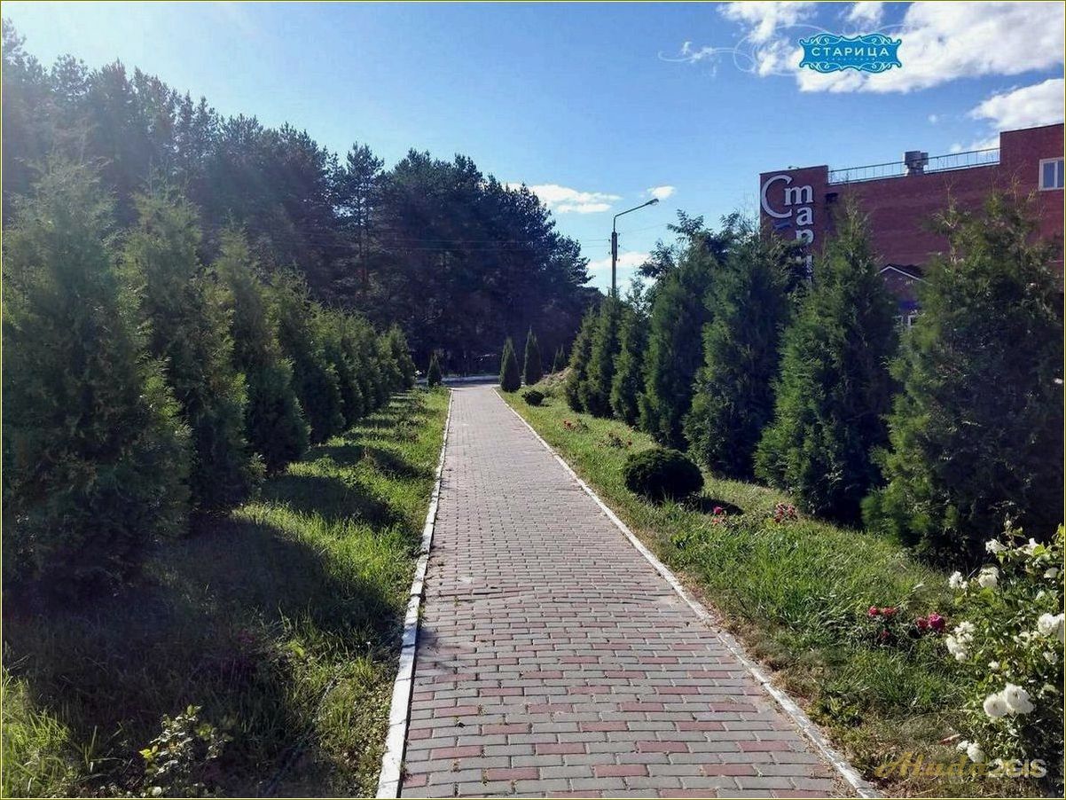 (отдых, рязанской, области, лучшие, санатории) Отдых в Рязанской области — лучшие санатории и дома отдыха