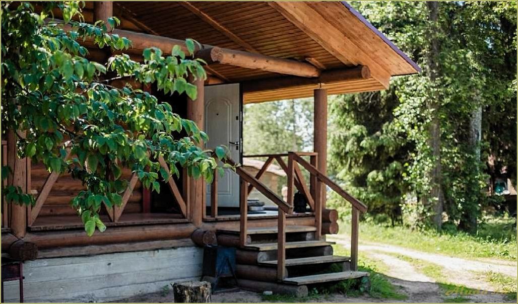 Незабываемый отдых с баней в Псковской области — наслаждайтесь природой, историей и уникальными традициями