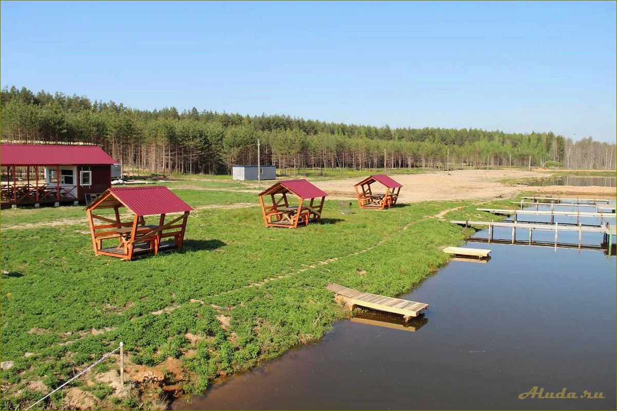 Отдых с рыбалкой в живописной Нижегородской области