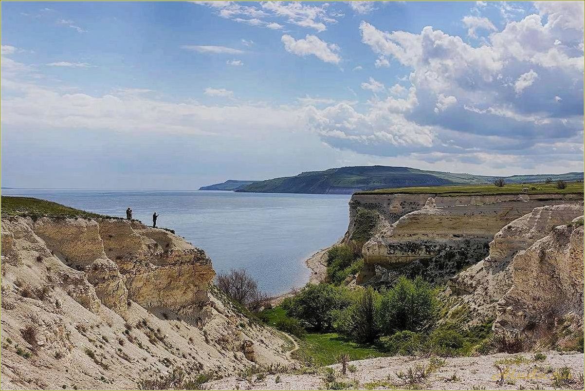 Отдых с собакой в Саратовской области