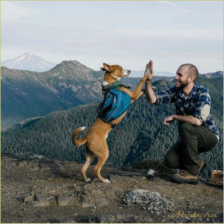 Отдых с собакой в Саратовской области