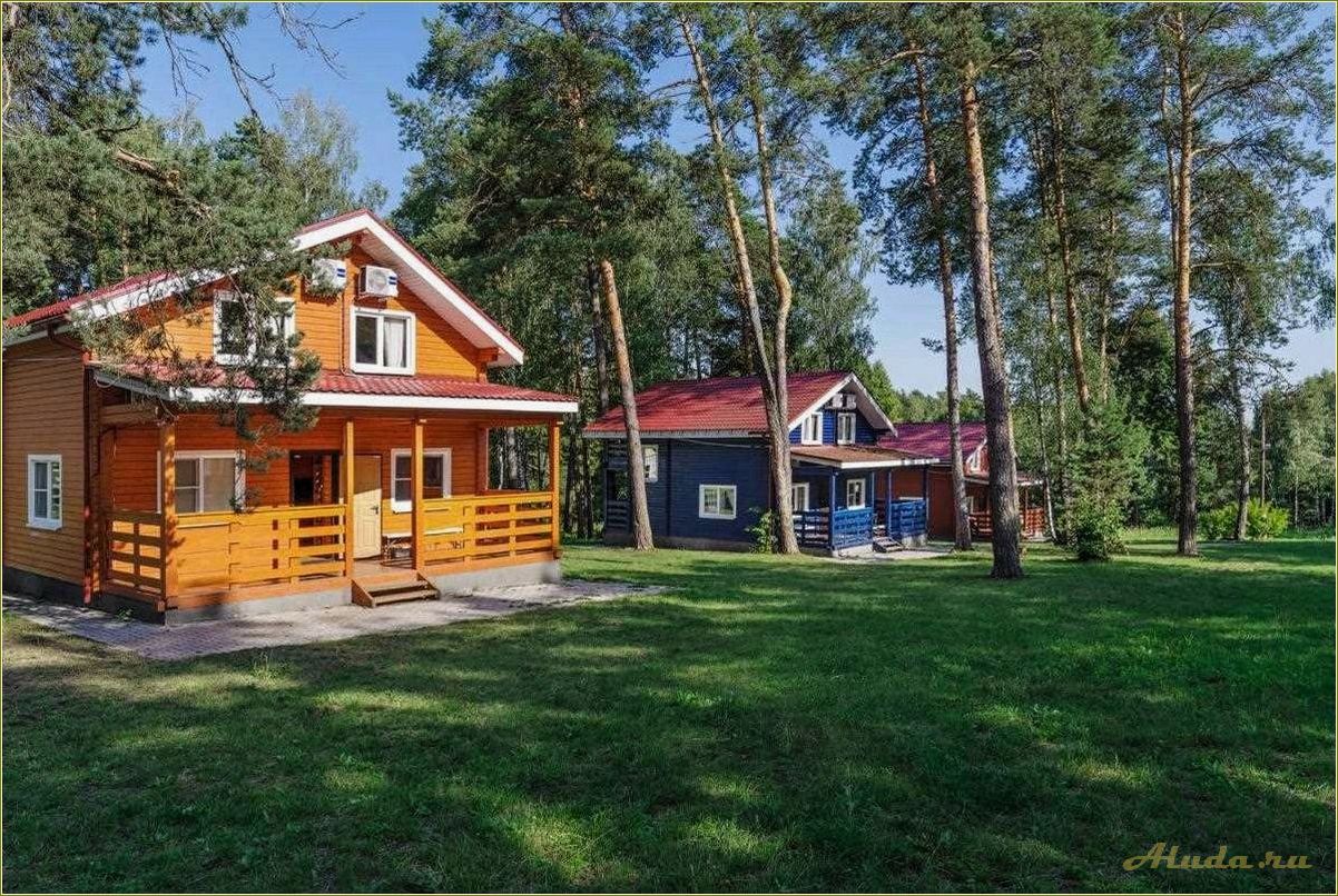 Отдых в Тульской области дома