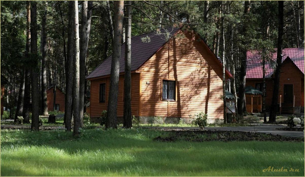 Тульская область: официальный сайт для отдыха и путешествий