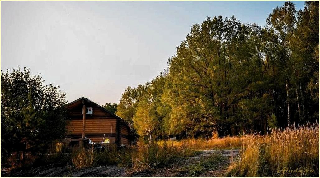 (отдых, уютной, деревне, пензенской, области) Отдых в уютной деревне Пензенской области — наслаждение природой и спокойствием