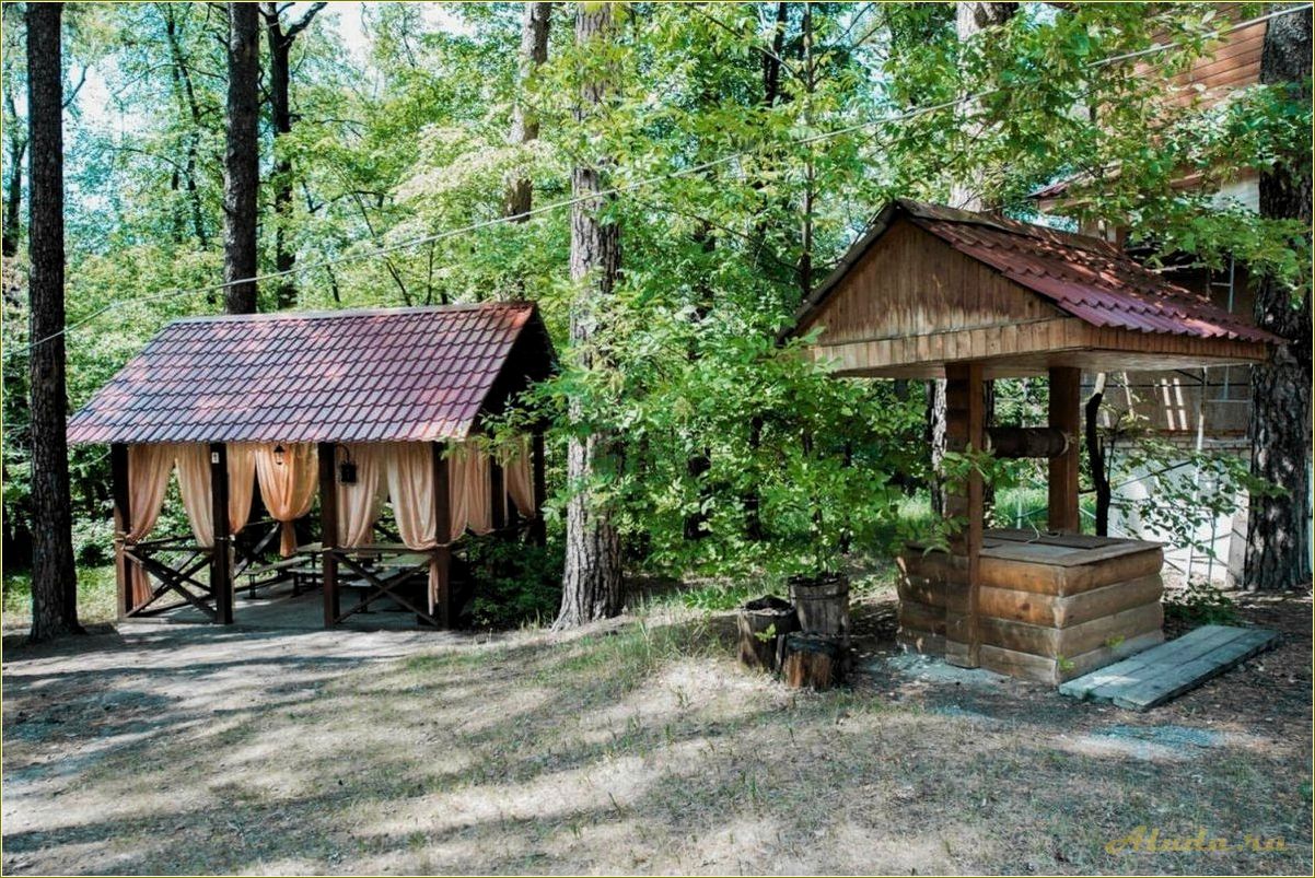 (отдых, уютной, деревне, пензенской, области) Отдых в уютной деревне Пензенской области — наслаждение природой и спокойствием