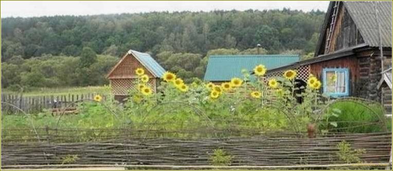 (отдых, уютной, деревне, пензенской, области) Отдых в уютной деревне Пензенской области — наслаждение природой и спокойствием