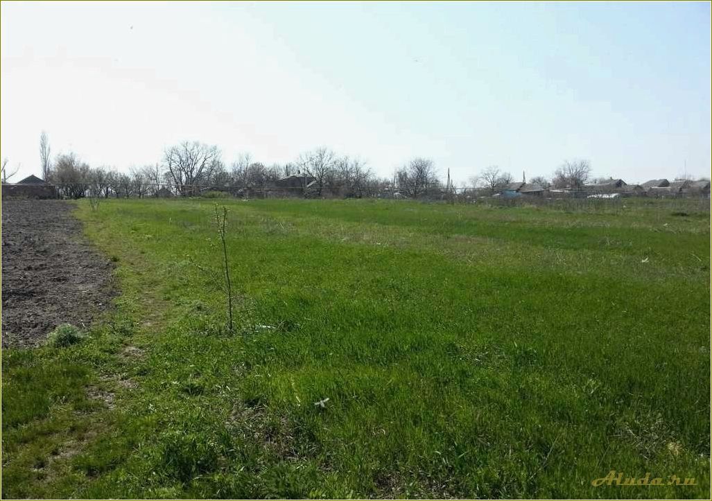 Отдых в гаевке ростовская область — идеальное место для спокойного и комфортного отпуска на природе