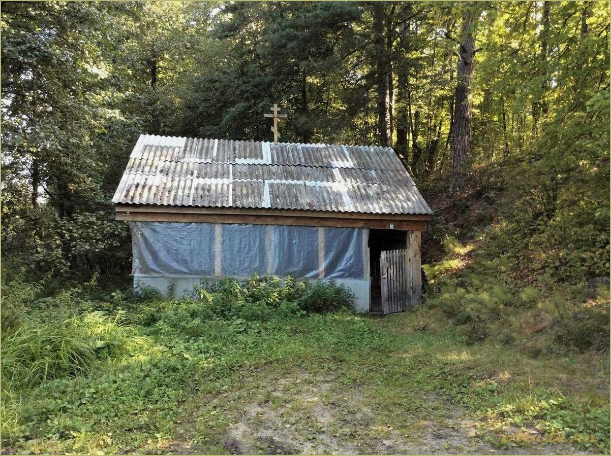 Отдых в Пензенской области — незабываемые приключения среди живописных никоновских просторов