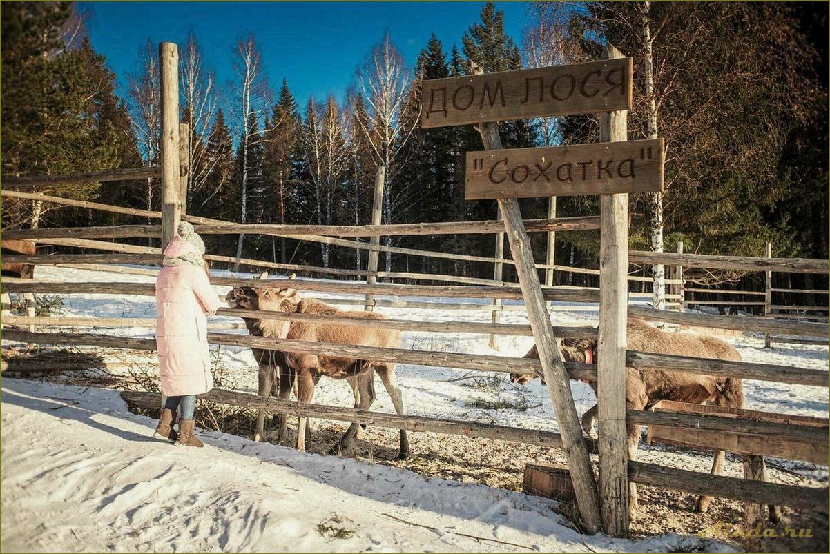 Отдых в Сибирке Челябинской области