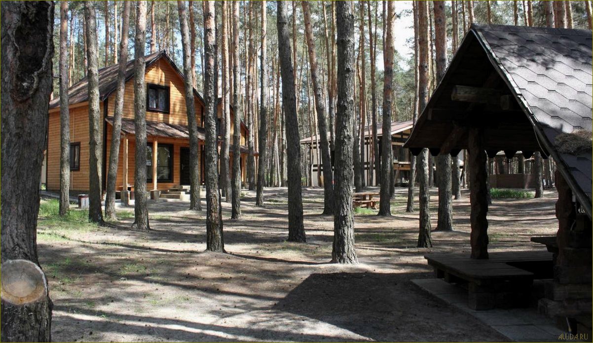 (отдых, выходные, прекрасной, белгородской, области) Отдых в выходные в прекрасной белгородской области — идеальное место для расслабления и наслаждения природой, культурой и гастрономией