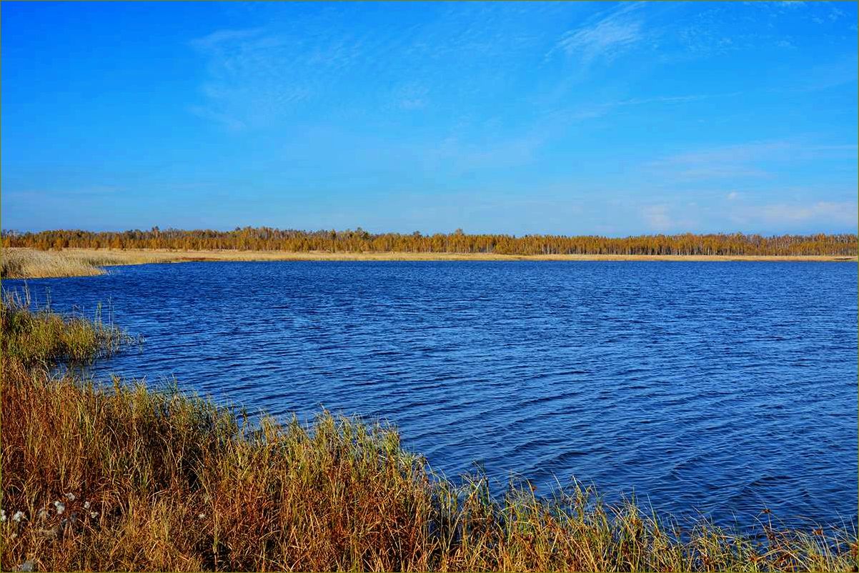 (отдых, городом, живописной, курганской, области) Отдых за городом в живописной Курганской области — идеальное место для релакса и насыщенного отдыха в окружении природы