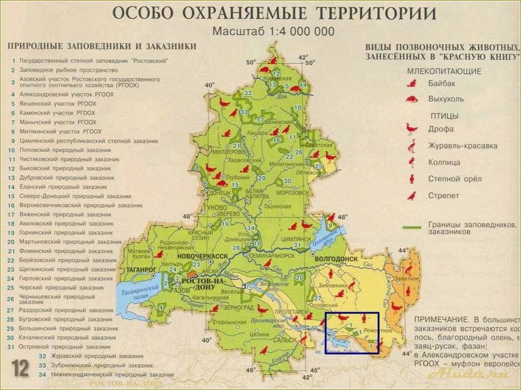 (отдых, заповедниках, ростовской, области, природный) Отдых в заповедниках Ростовской области — природный уголок в сердце Юга России