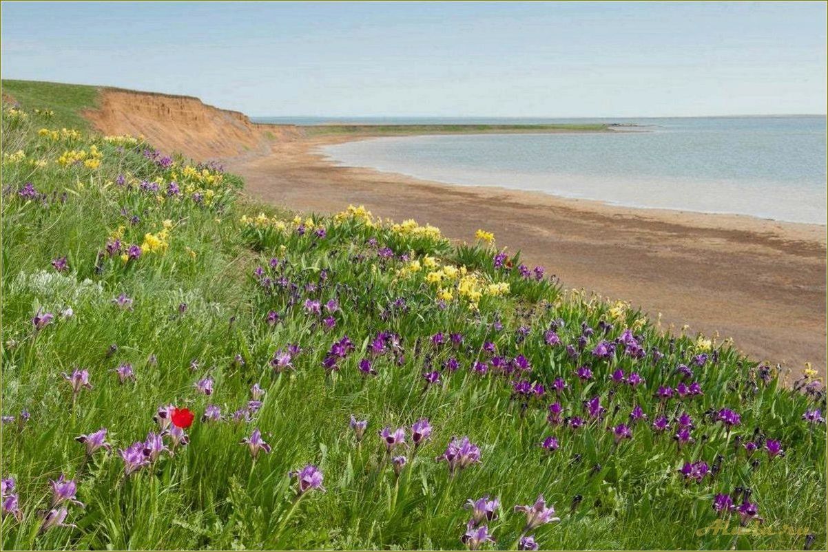 (отдых, заповедниках, ростовской, области, природный) Отдых в заповедниках Ростовской области — природный уголок в сердце Юга России