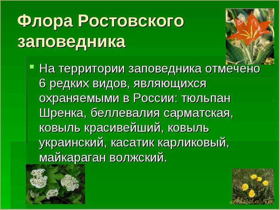 (отдых, заповедниках, ростовской, области, природный) Отдых в заповедниках Ростовской области — природный уголок в сердце Юга России