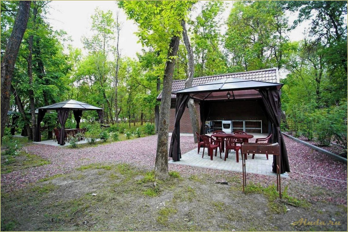 Отдых зимой в Ростовской области — лучшие базы отдыха для активного времяпрепровождения