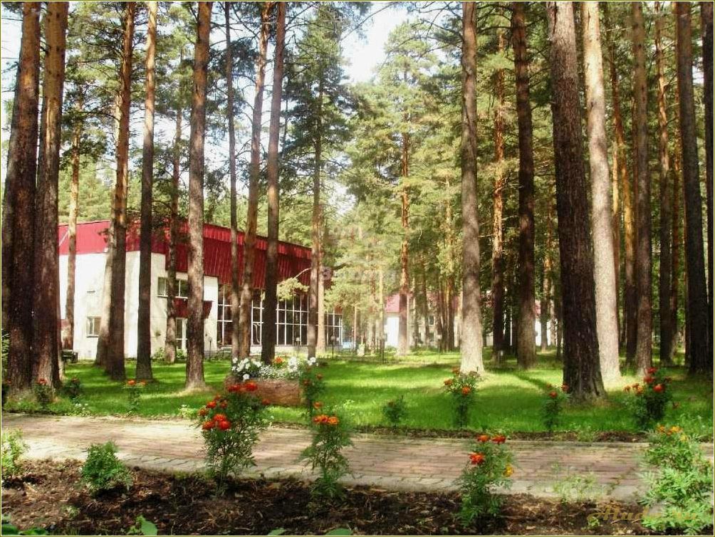 Насладитесь отдыхом на базе отдыха 