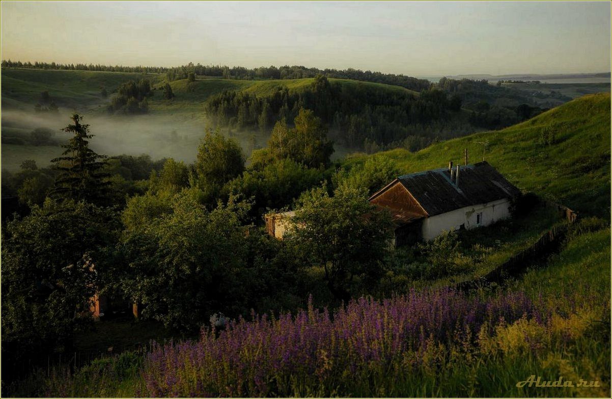 Лучшие места для отдыха и развлечений в Рязанской области — от природных парков до культурных достопримечательностей