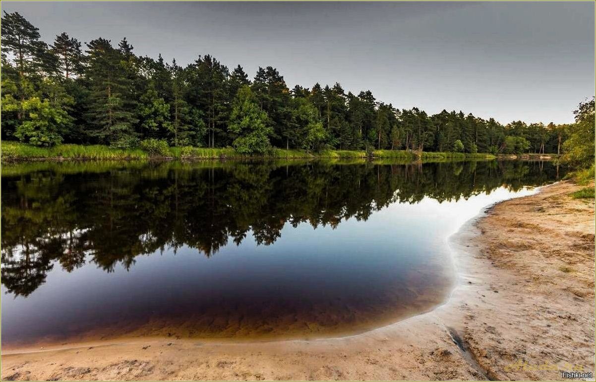 Отдых на прекрасных реках и озерах Рязанской области — наслаждайтесь природой и отдыхайте вдали от городской суеты