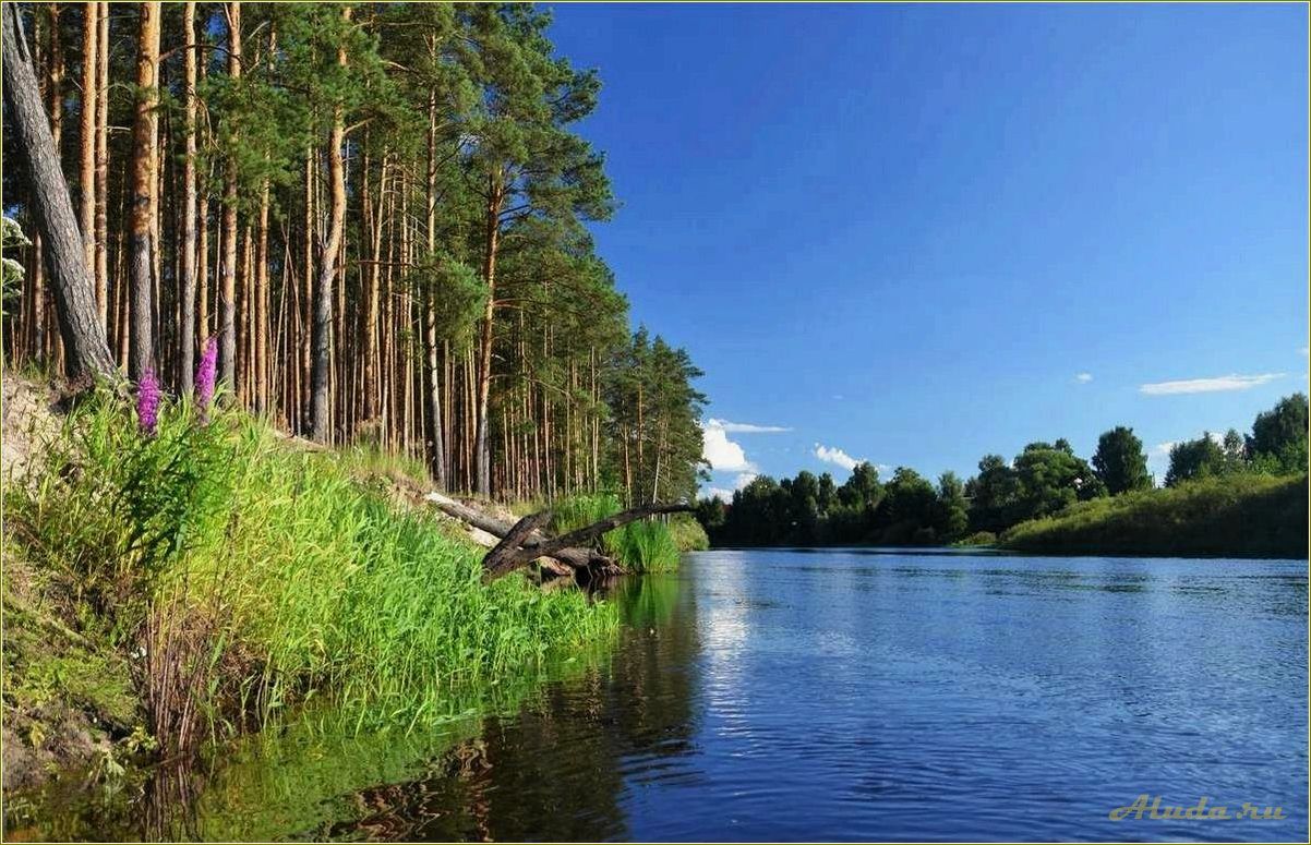 Отдых на прекрасных реках и озерах Рязанской области — наслаждайтесь природой и отдыхайте вдали от городской суеты