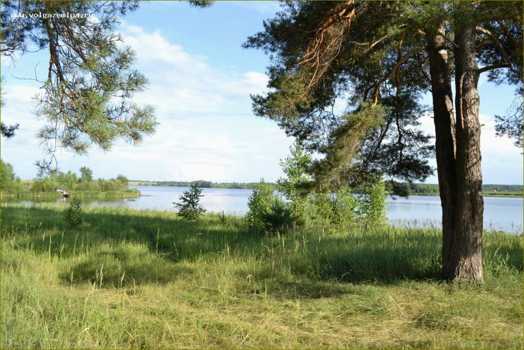 Отдых на Волге в Ульяновской области