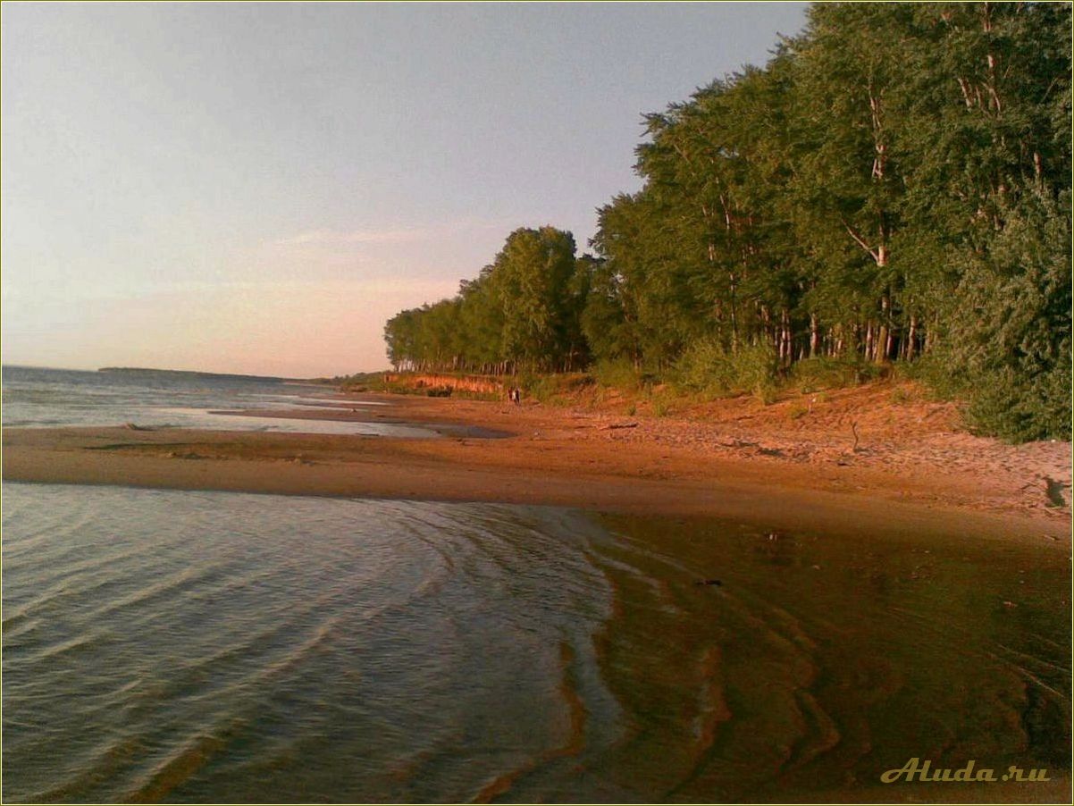 Отдых в хрящевке самарской области дикарем