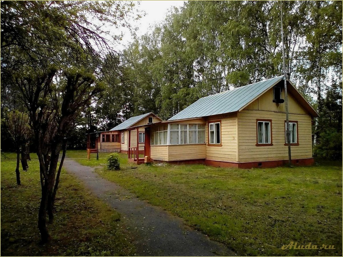 Отдых в июле в Ярославской области: лучшие места и развлечения