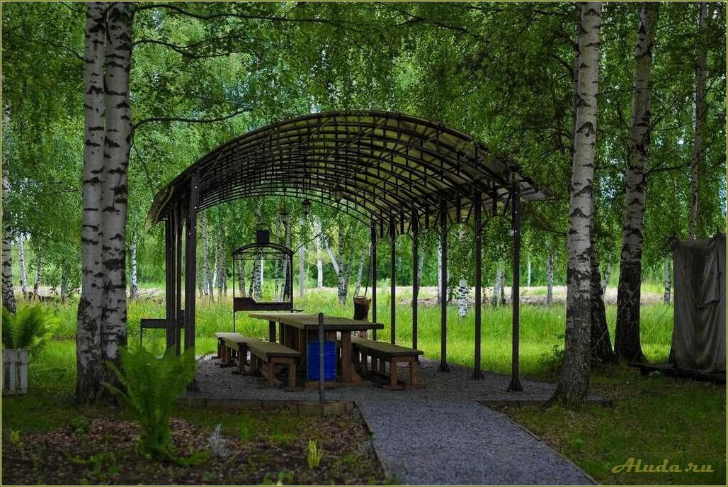 Отдых в июле в Ярославской области: лучшие места и развлечения