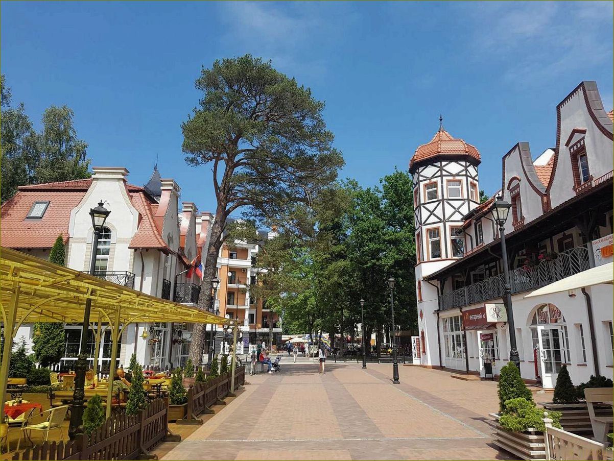 (отдых, калининградской, области, лучшие, места) Отдых в Калининградской области — лучшие места, которые стоит посетить, чтобы насладиться природой, культурой и историей.