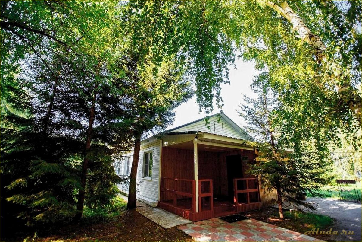 Отдых в Омской области — базы отдыха с прайсом в Омске