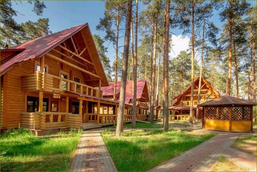 (отдых, уютном, пансионате, комфортными, условиями) Отдых в уютном пансионате с комфортными условиями проживания в живописной Владимирской области