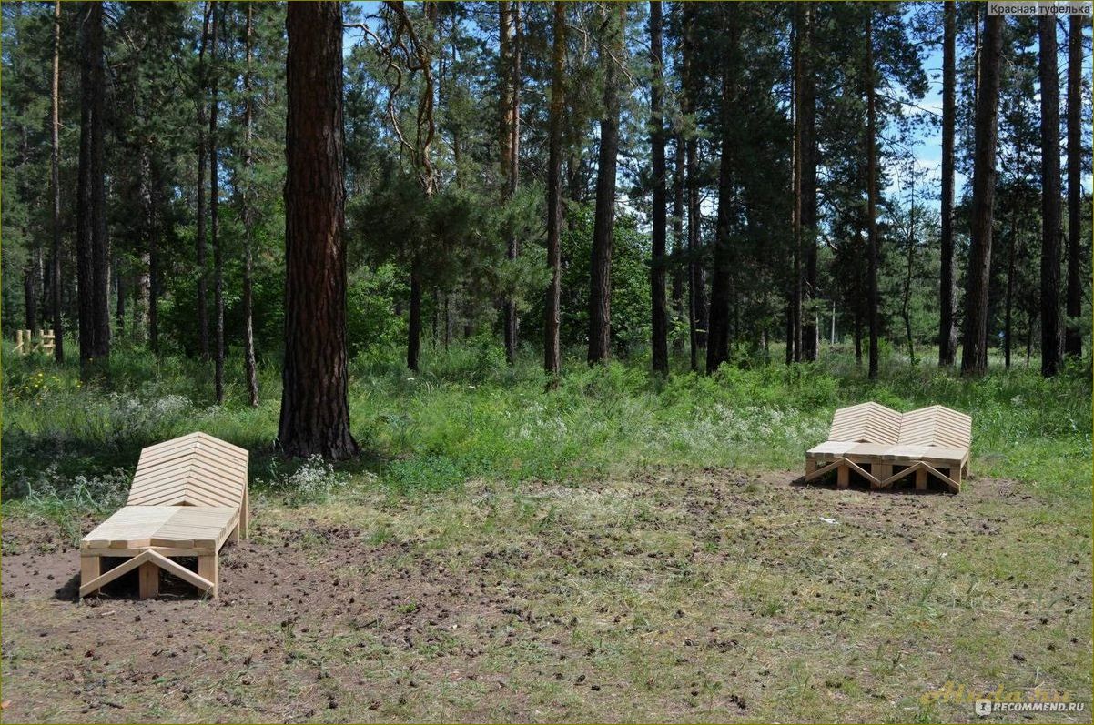 (отдых, сосновом, бору, оренбургской, области) Отдых в сосновом бору Оренбургской области — наслаждайтесь природой и восстанавливайте свои силы