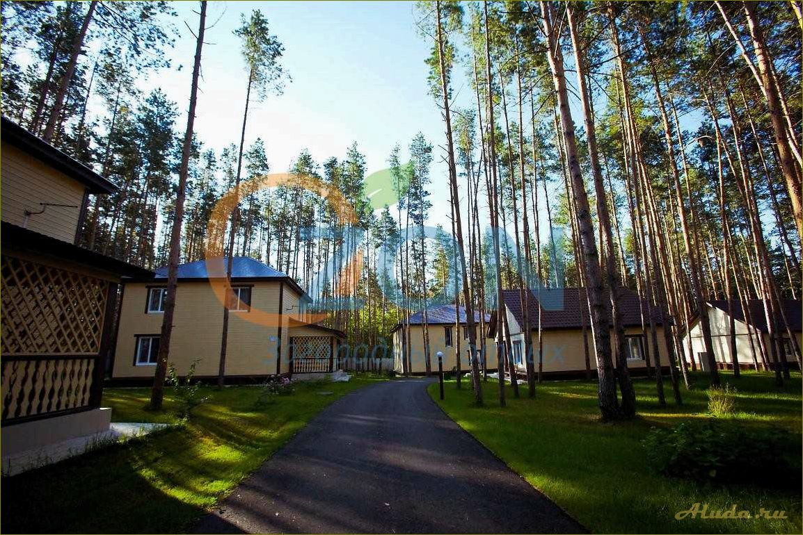 (отдых, сосновом, бору, оренбургской, области) Отдых в сосновом бору Оренбургской области — наслаждайтесь природой и восстанавливайте свои силы