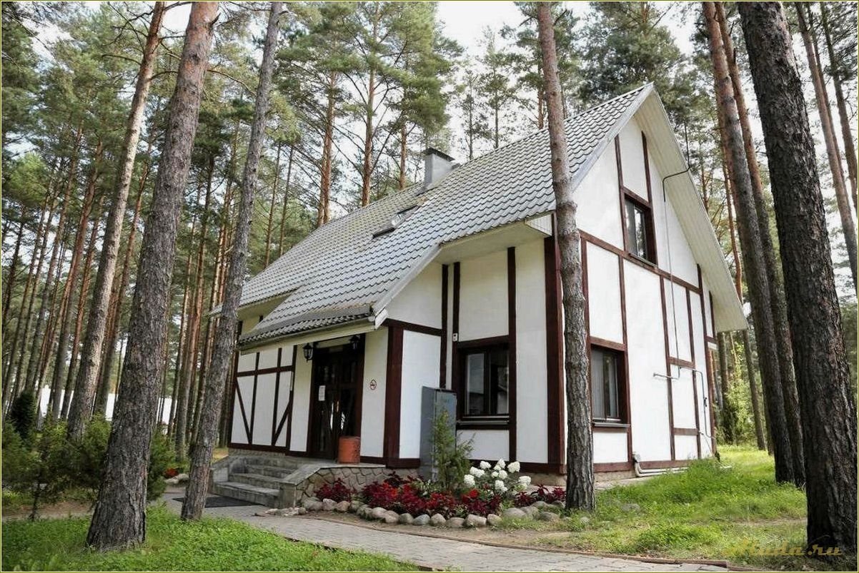 Лучшие отели и дома отдыха в живописной Псковской области — комфорт, красота и незабываемые впечатления