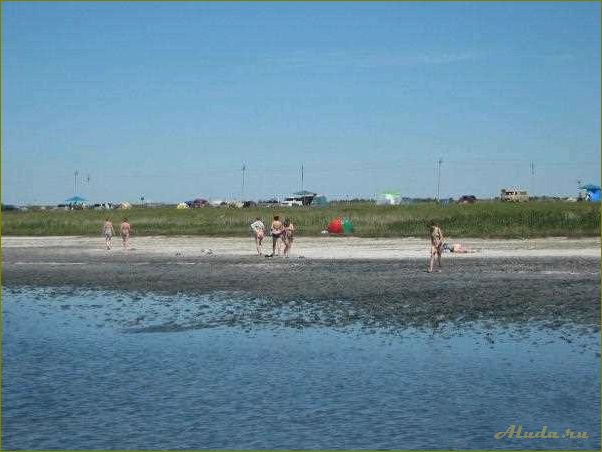 (озера, новосибирской, области, идеальное, место) Озера новосибирской области — идеальное место для отдыха дикарями — кристально чистая вода, живописные пейзажи и уникальная природа