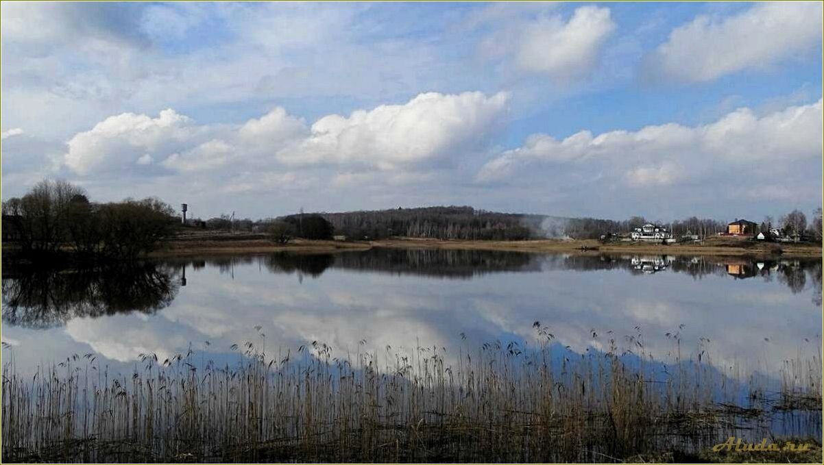 (озерный, база, отдыха, смоленской, области) Озерный база отдыха в Смоленской области