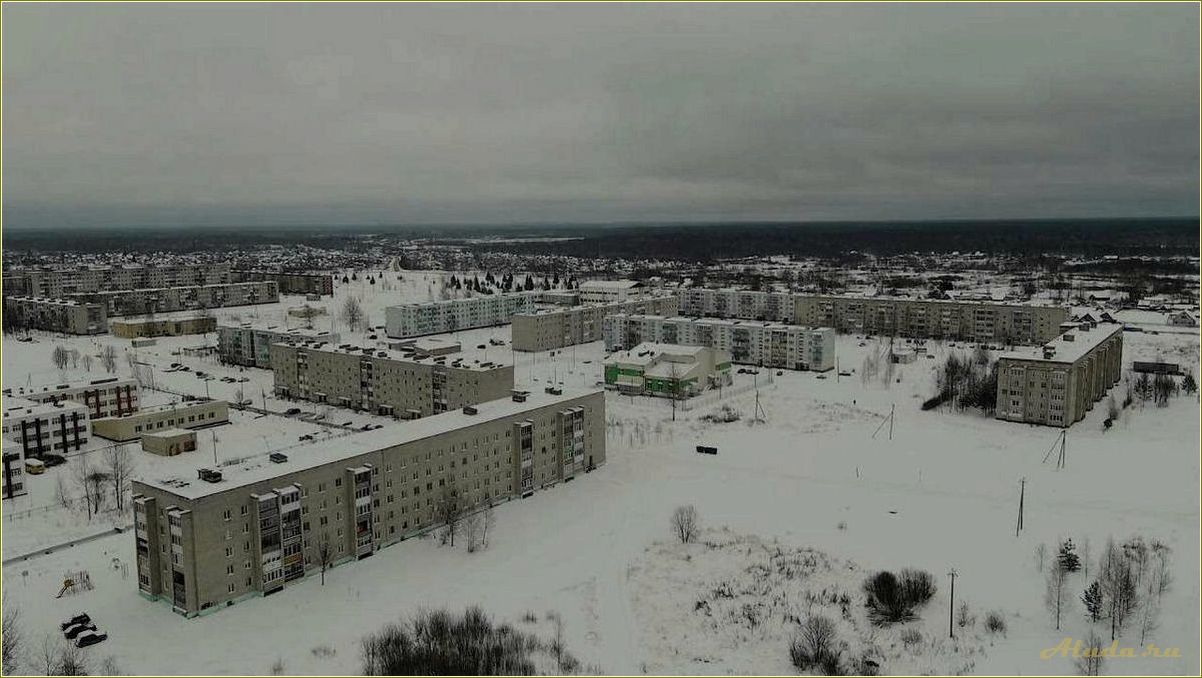 (озерный, база, отдыха, смоленской, области) Озерный база отдыха в Смоленской области