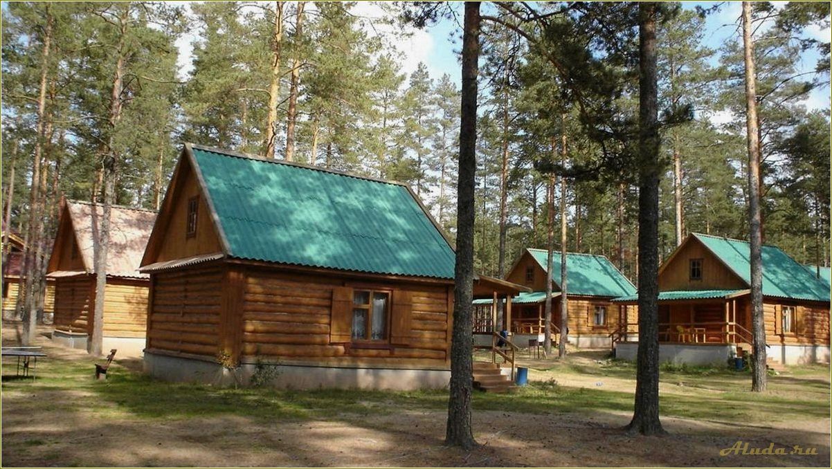 (озерный, база, отдыха, смоленской, области) Озерный база отдыха в Смоленской области