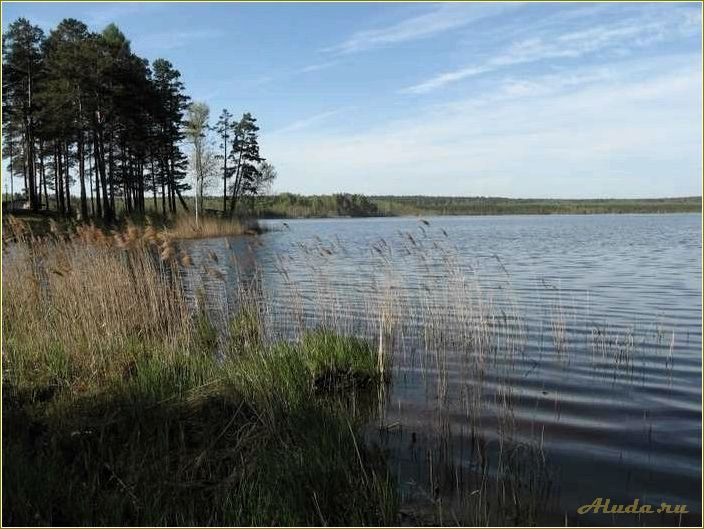 (озеро, глухое, свердловская, область, отдых) Озеро Глухое Свердловская область отдых