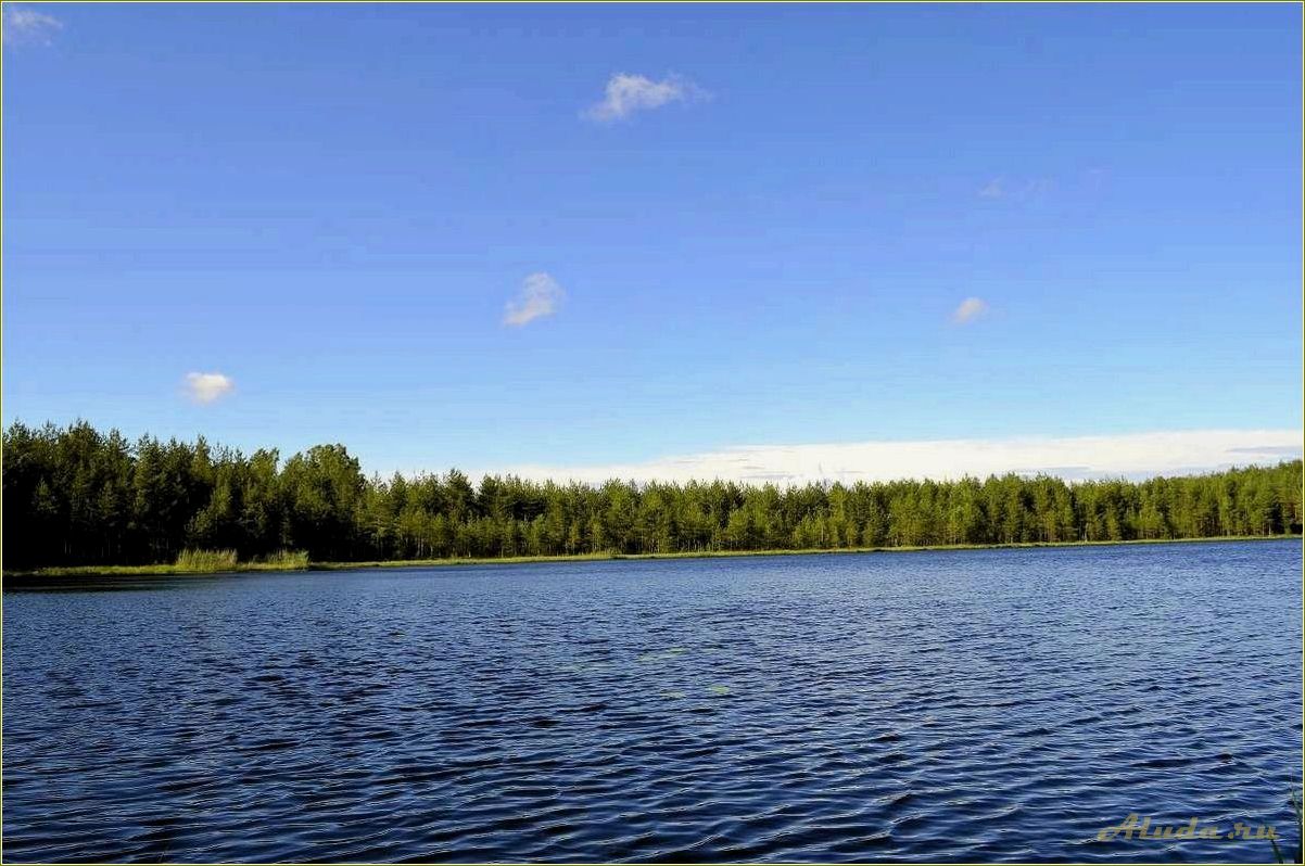 (озеро, глухое, свердловская, область, отдых) Озеро Глухое Свердловская область отдых