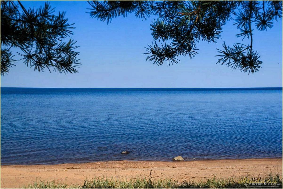 (озеро, гурино, свердловская, область, базы) Озеро Гурино Свердловская область: базы отдыха и отличные возможности для активного отдыха