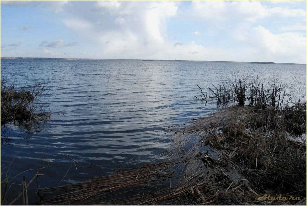 Озеро Ирбитское Свердловская область базы отдыха