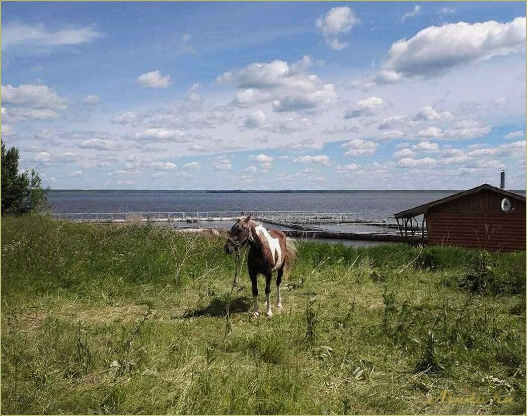 Озеро Ирбитское Свердловская область базы отдыха