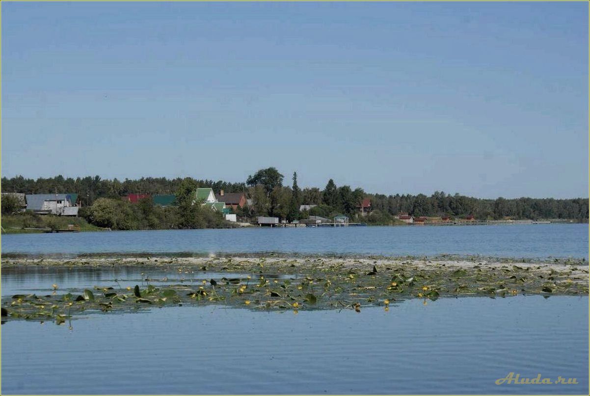 Озеро Ирбитское Свердловская область базы отдыха