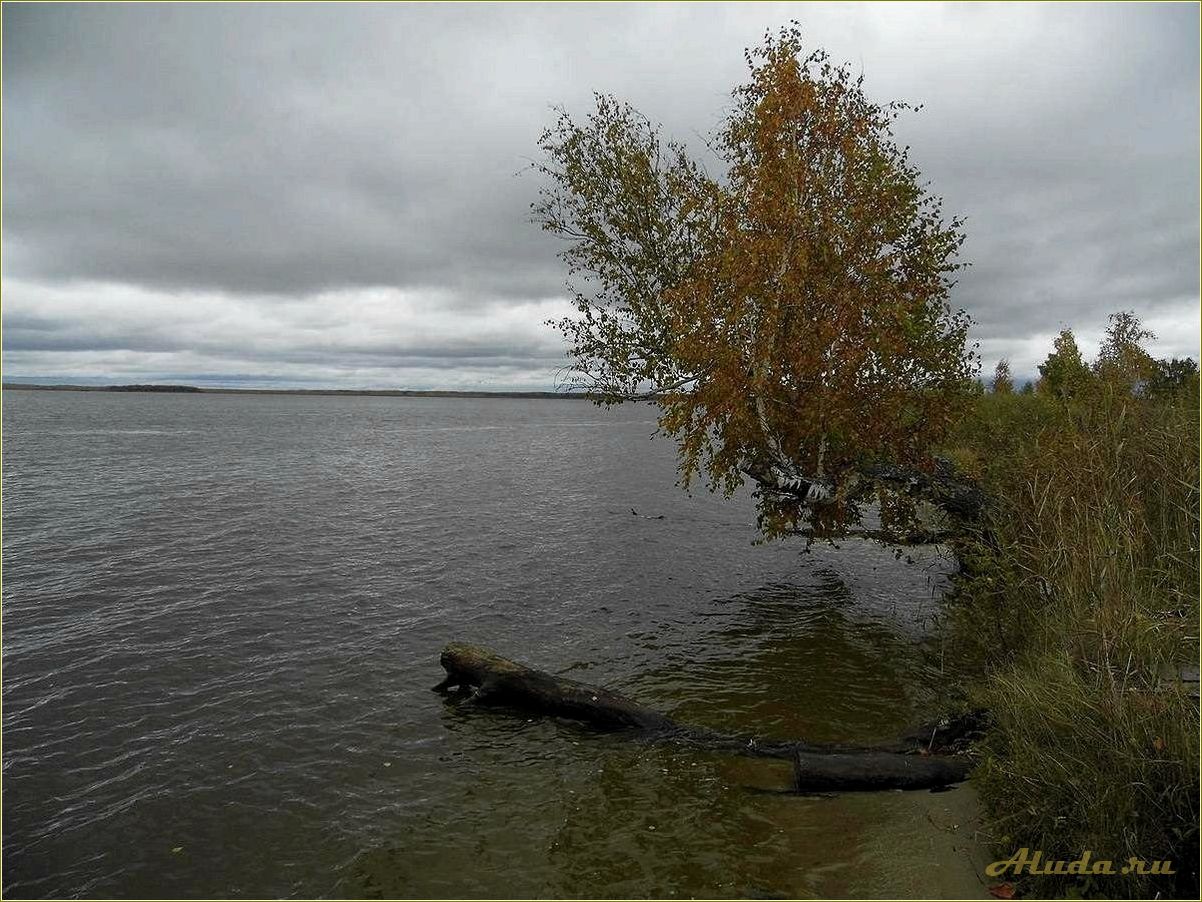 Озеро Ирбитское Свердловская область базы отдыха