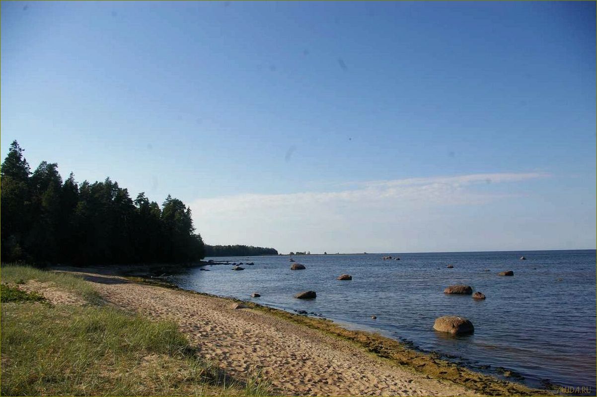 Райский уголок отдыха в Ленинградской области — Озеро Копанское — идеальное место для релакса и зарядки энергией